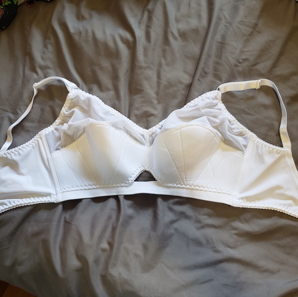 What Katie Did Liz bra 34F - Picture 4 of 6